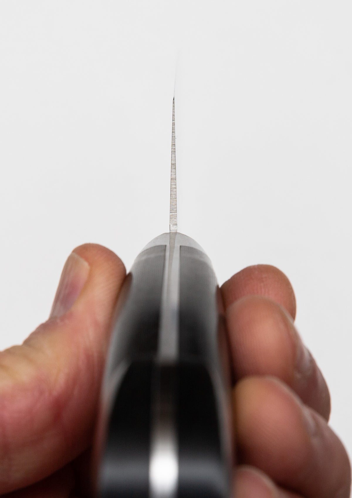 Sakai Takayuki Grand Chef Chef&#39;s Knife, Wine-Red Micarta Handle, 210mm / 8.25&quot;