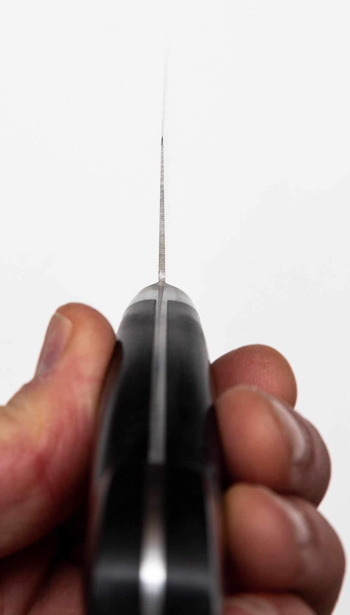 Sakai Takayuki Grand Chef Santoku, Manche Micarta Noir, 180mm / 7.1&quot;